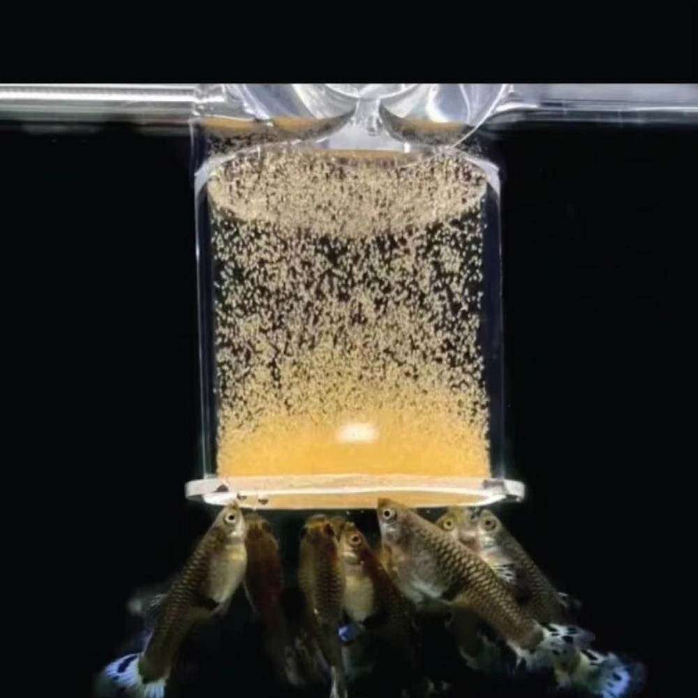 Aquarium Fish Eggs - Acrylic Brine Shrimp Feeder Fixed-Point Transparent