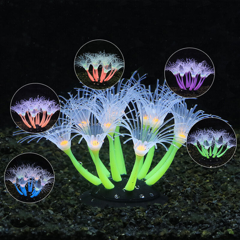 Silicone Glowing Landscape Art - Fish Toys For Aquarium 评论和价格