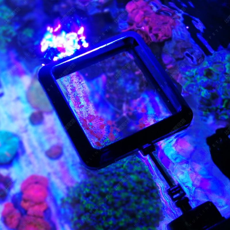 VASTOCEAN Magnetic Feeding Rin - Aquarium Fish Food 评论和价格