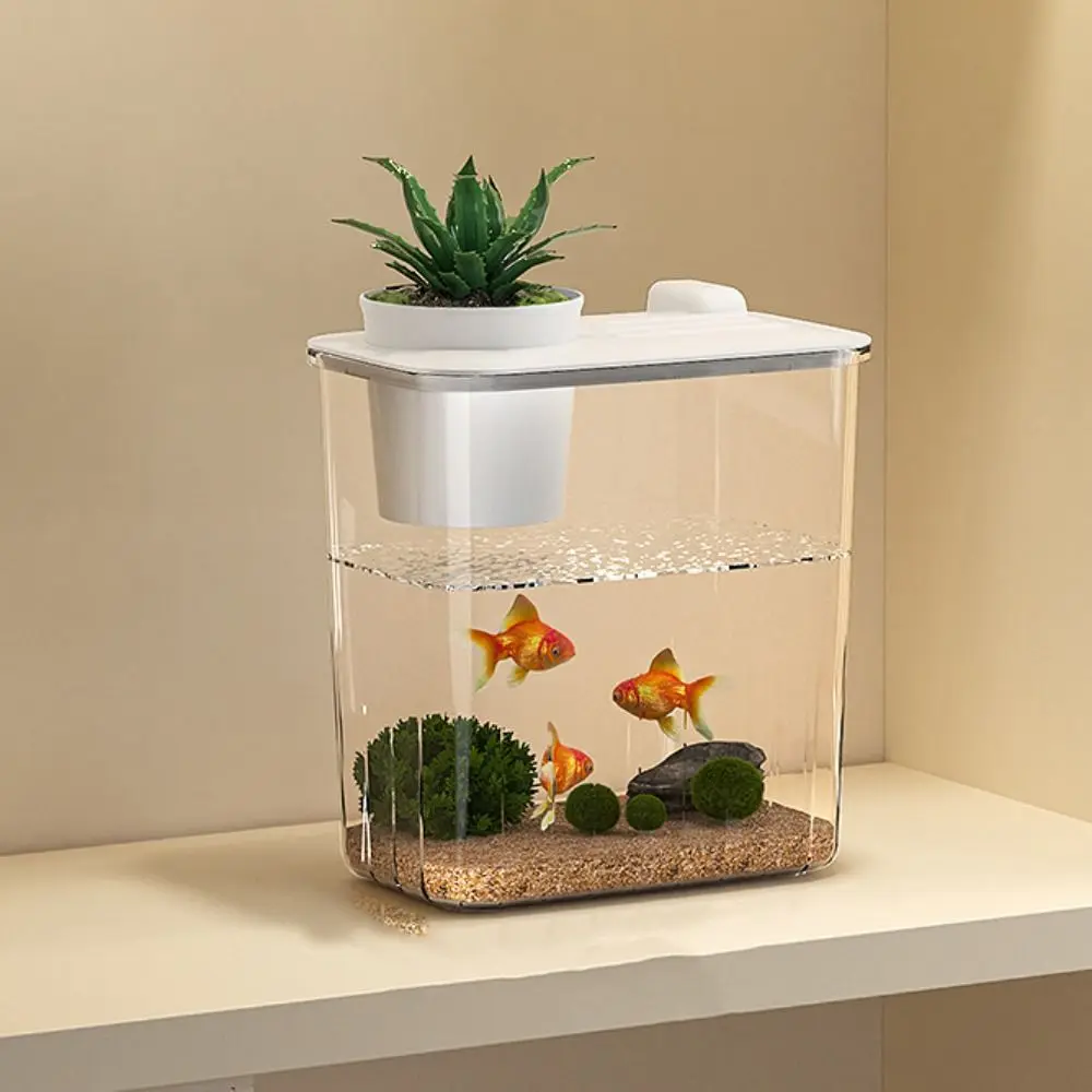 Aquarium Desktop Fish Tank Wat - Aquarium Fish In Bowl 评论和价格
