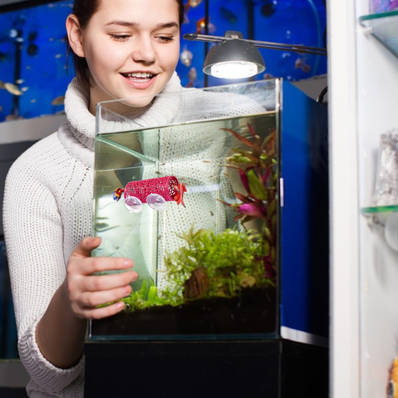 Betta Habitat Resting Shelter  - Fish Toy In Aquarium 评论和价格