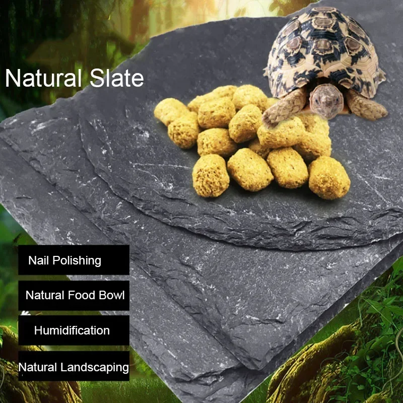 Natural Slate Aquarium Pet Rep - Aquarium Fish Food 评论和价格