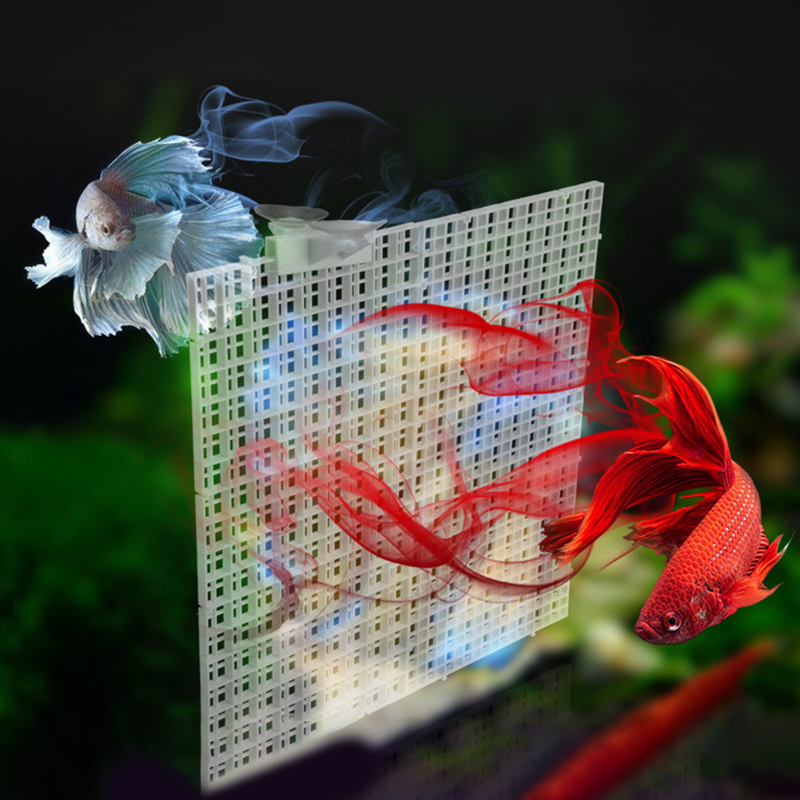 30x15cm 30x30cm Grid Divider P - Aquarium Fish Trap 评论和价格