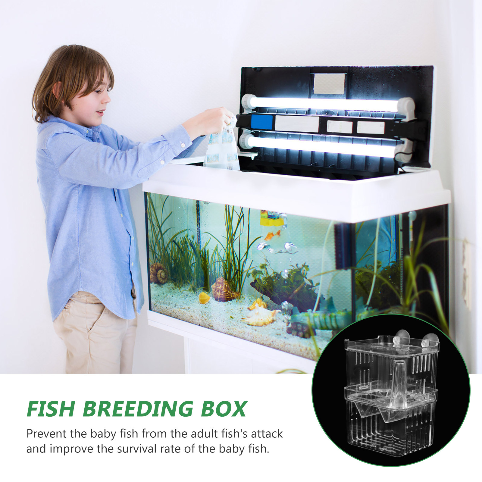 Incubator for Aquarium Breedin - Aquarium Fish Eggs 评论和价格