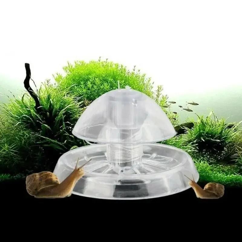 2026 New 6/8CM Clear Plastic S - Aquarium Fish Trap 评论和价格