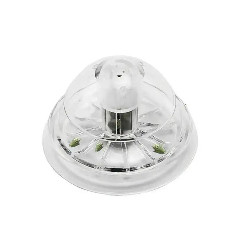 2026 New 6/8CM Clear Plastic S - Aquarium Fish Trap 评论和价格