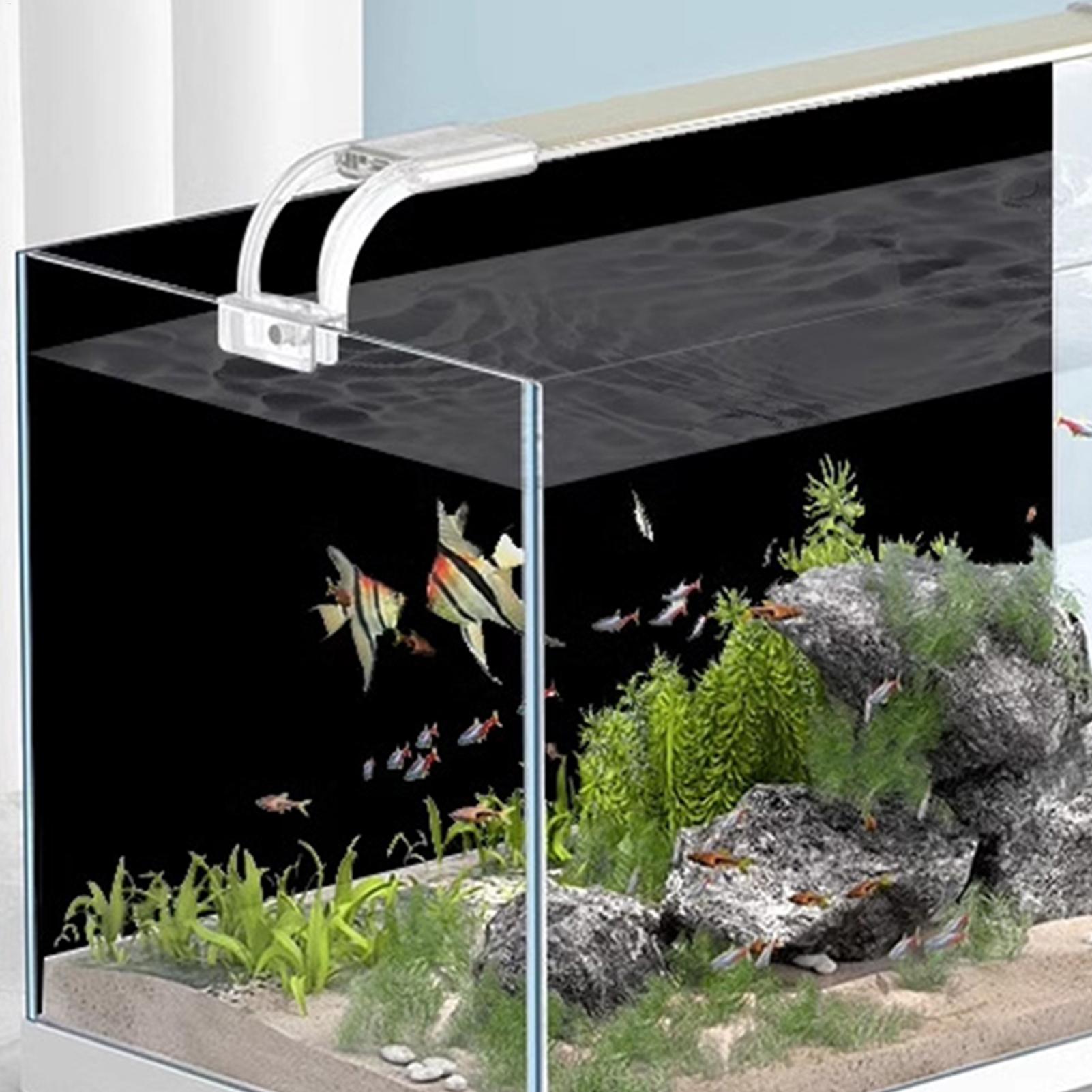 Black Aquarium Background Stat - Aquarium Fish Black 评论和价格