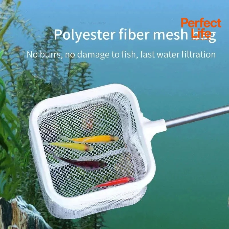 1、2Pcs Stainless Steel Fishing - Aquarium Fish Trap 评论和价格