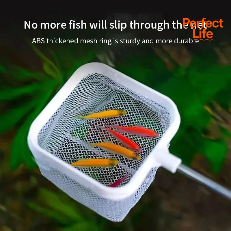 1、2Pcs Stainless Steel Fishing - Aquarium Fish Trap 评论和价格