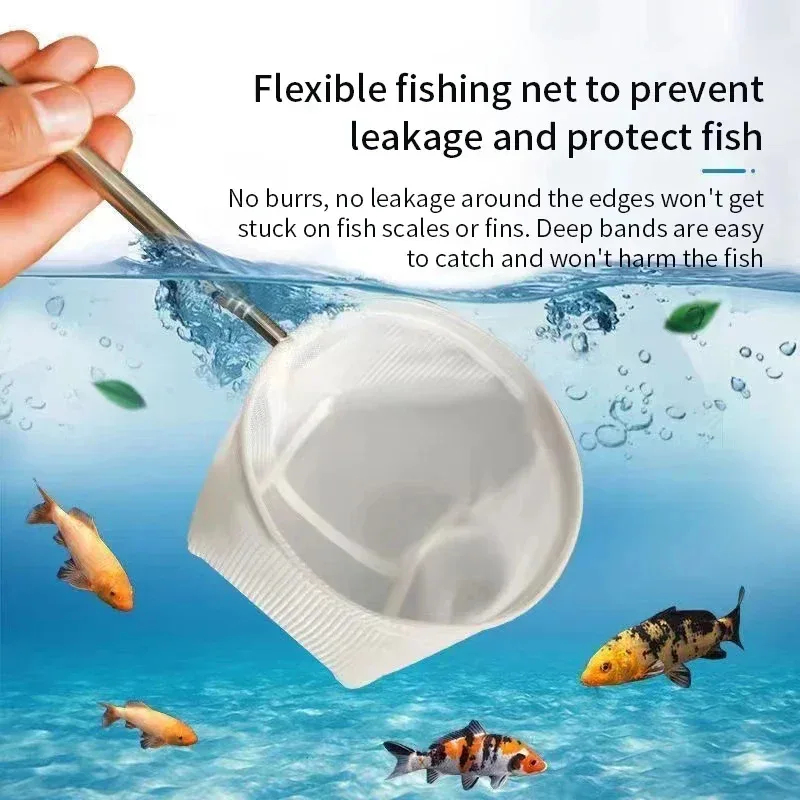 1、2Pcs Stainless Steel Fishing - Aquarium Fish Trap 评论和价格