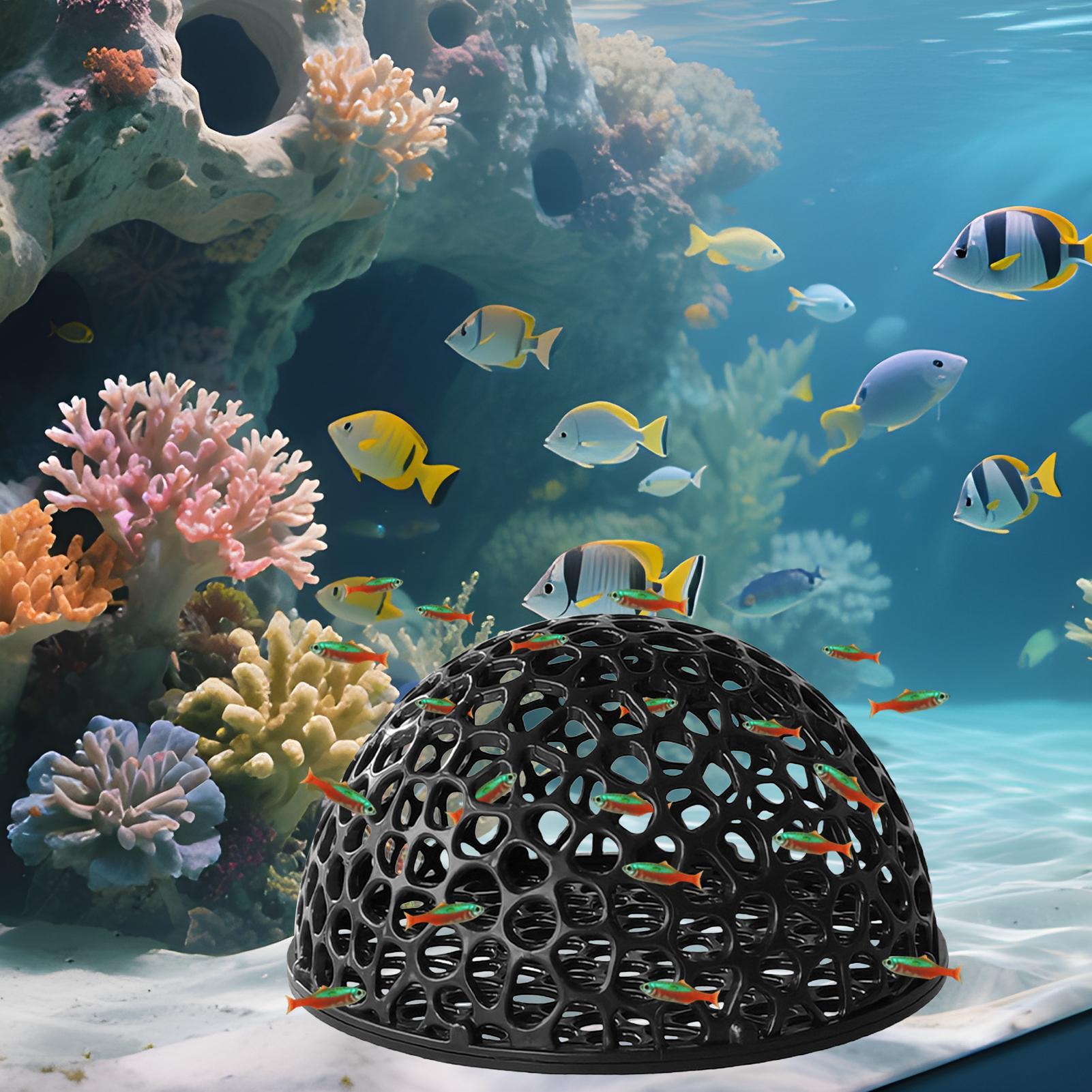 Aquarium Hiden Cave Shelter fo - Aquarium Fish Hide 评论和价格