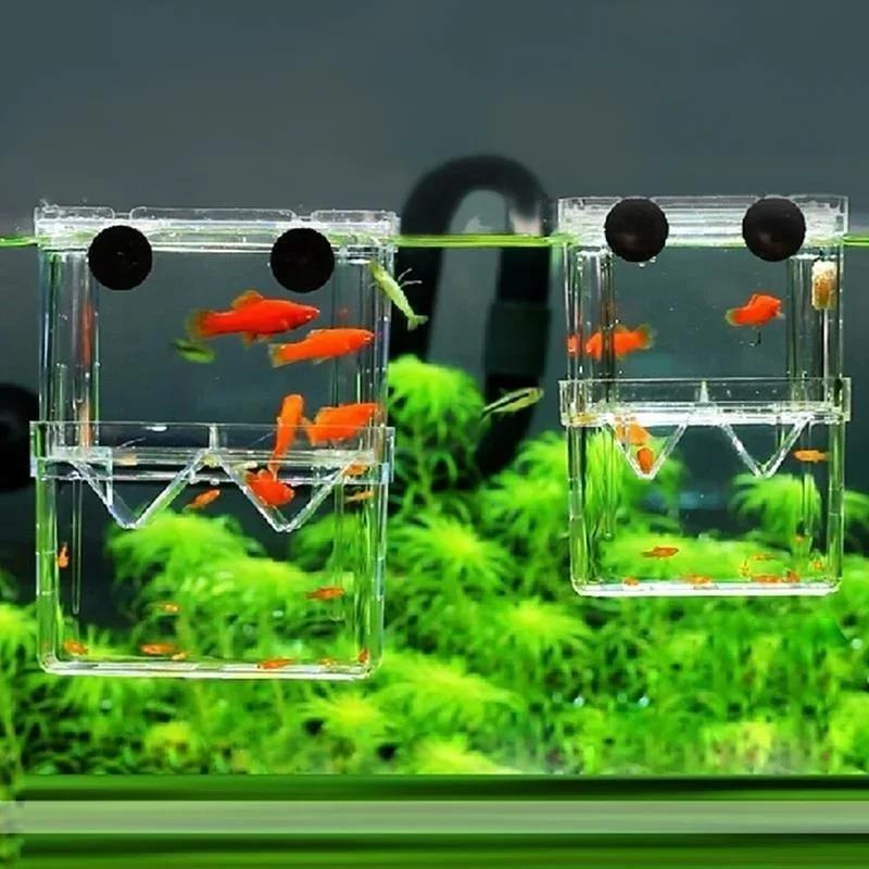 Transparent Fish Aquarium High - Aquarium Fish In Bowl 评论和价格