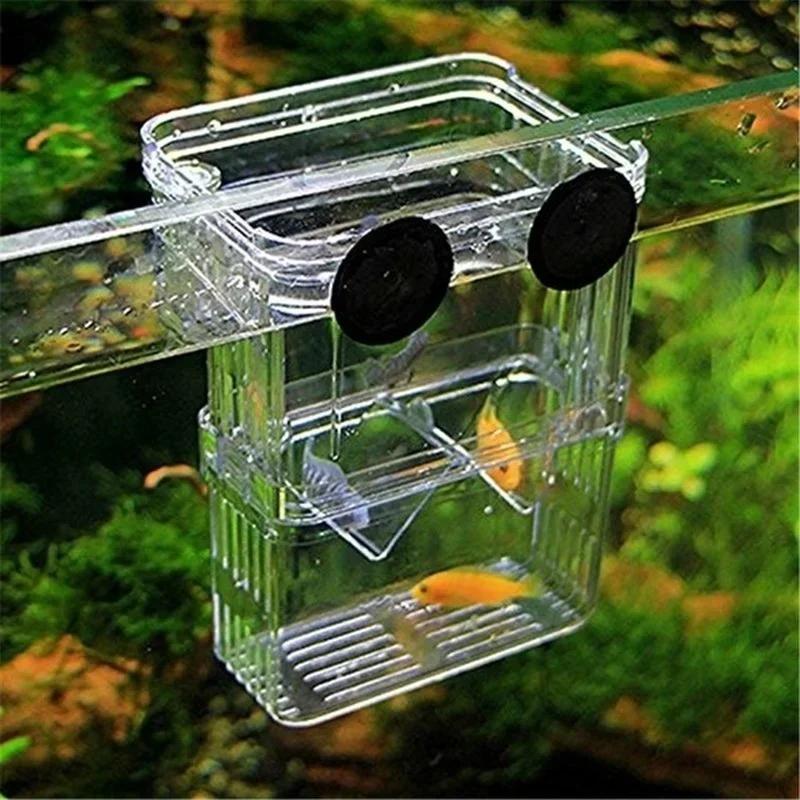Transparent Fish Aquarium High - Aquarium Fish In Bowl 评论和价格