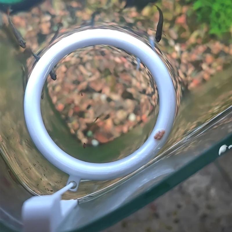 {QTG333} 1 Set 3D Printed Floa - Aquarium Fish Auto Feeder 评论和价格