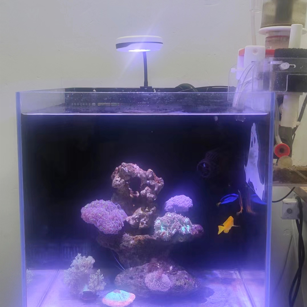 Spectra 20W LED Aquarium Light - Refugium Light Nano 评论和价格
