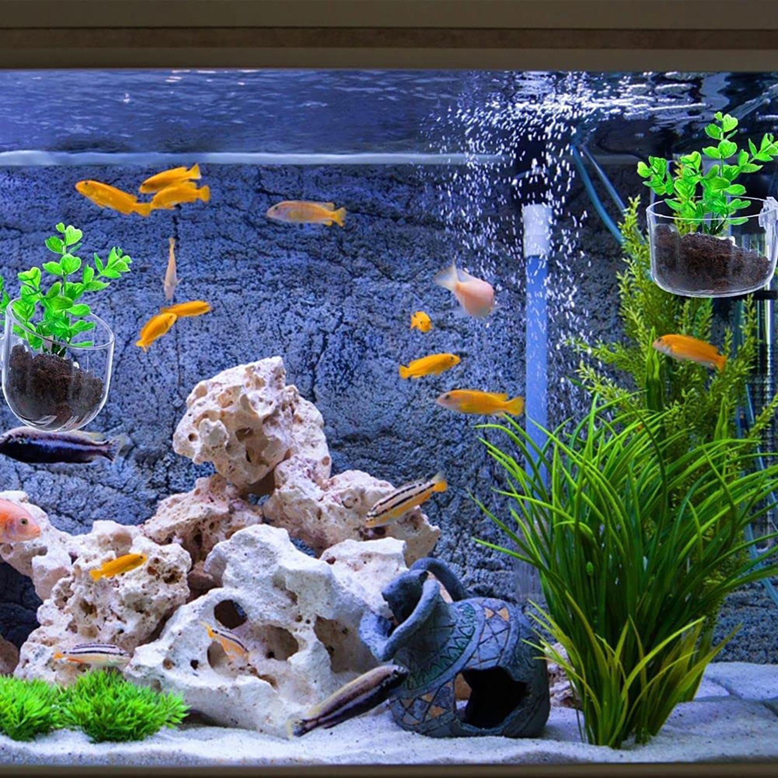 Acrylic Aquarium Plant Pots Aq - Aquarium Fish Beautiful 评论和价格