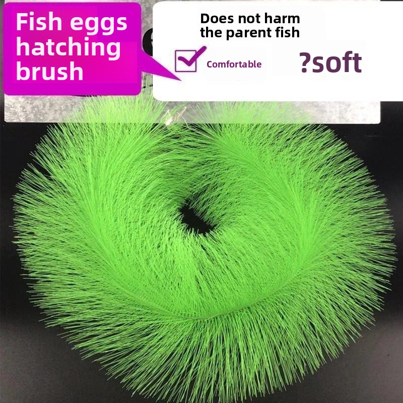 Breeding Grass for Koi Fish Eg - Aquarium Fish Eggs 评论和价格