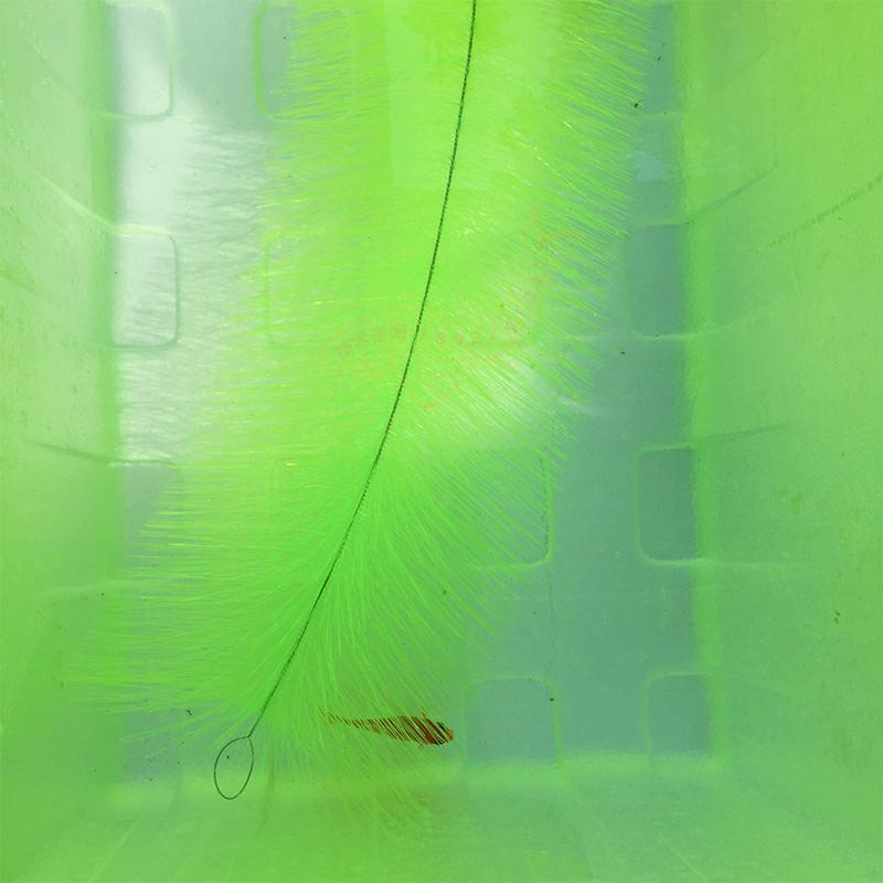 Breeding Grass for Koi Fish Eg - Aquarium Fish Eggs 评论和价格