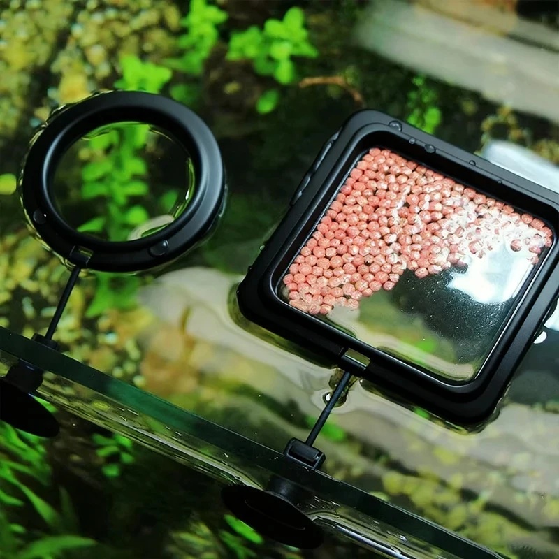1/3pcs Aquarium Fish Feeding R - Aquarium Fish Food 评论和价格