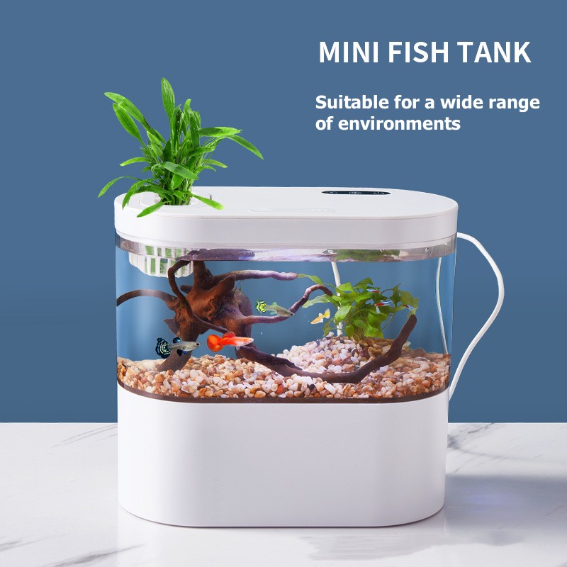 Mini Desktop Aquarium Fish Tan - Live Fish Aquarium 评论和价格