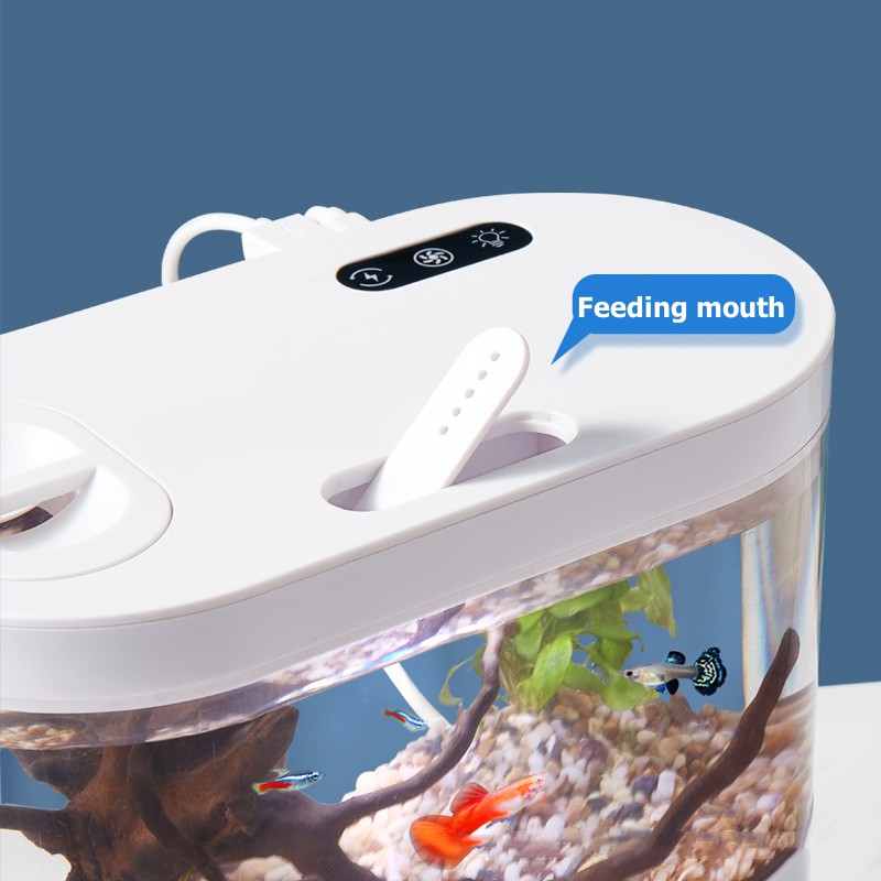 Mini Desktop Aquarium Fish Tan - Live Fish Aquarium 评论和价格
