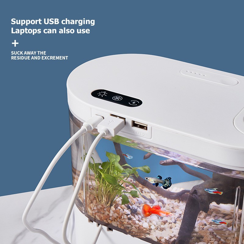 Mini Desktop Aquarium Fish Tan - Live Fish Aquarium 评论和价格