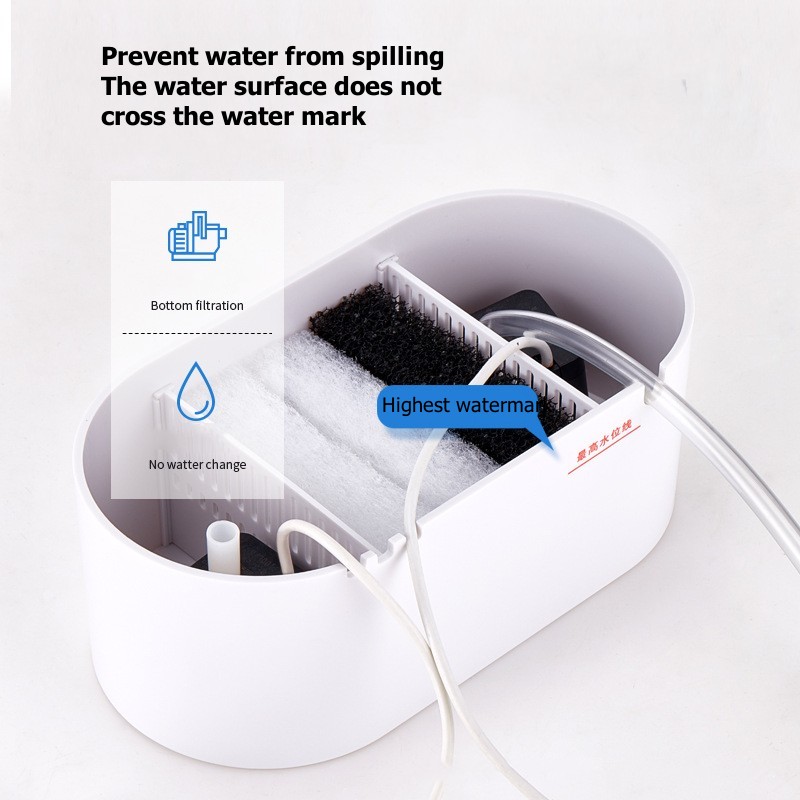 Mini Desktop Aquarium Fish Tan - Live Fish Aquarium 评论和价格