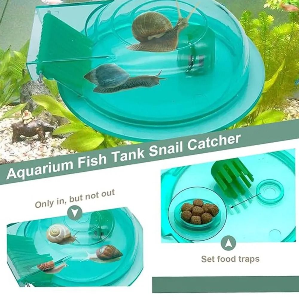 Freshwater Saltwater Aquarium  - Aquarium Fish Trap 评论和价格