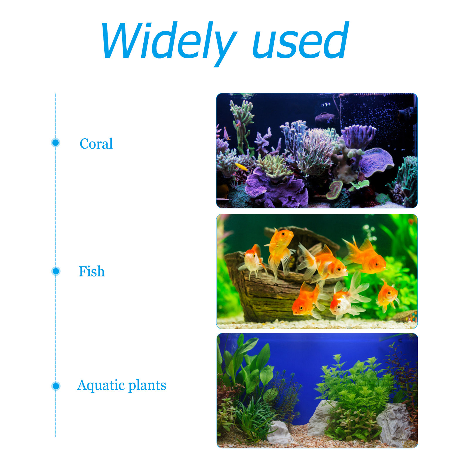 10Pcs Black Plastic Aquarium G - Aquarium Fish Black 评论和价格