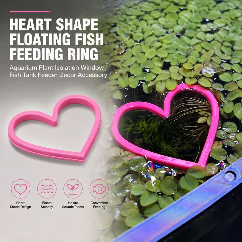 Heart Shaped Floating Fish Fee - Aquarium Fish Food 评论和价格