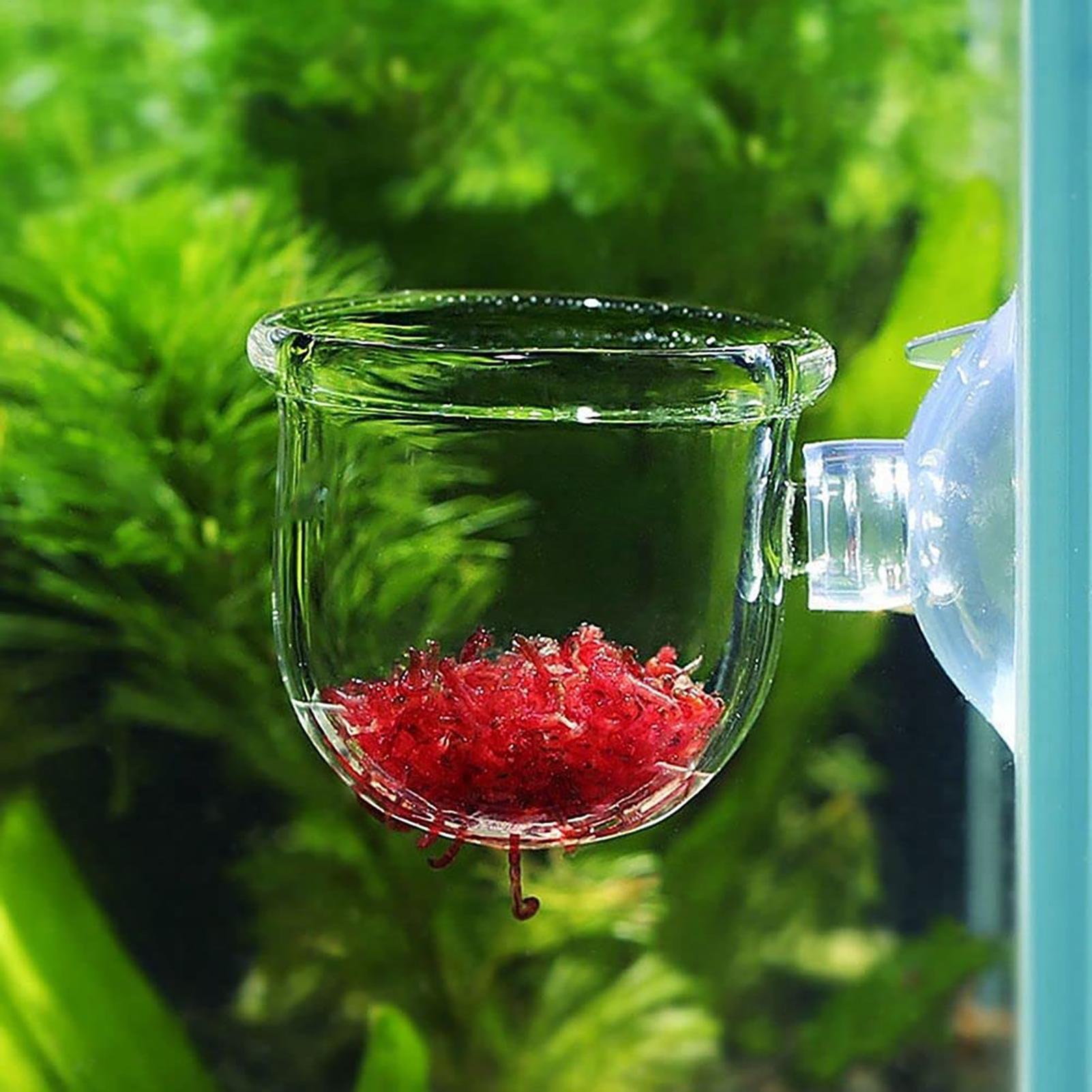 Plant Holder for Fish Tank Cle - Aquarium Fish Beautiful 评论和价格