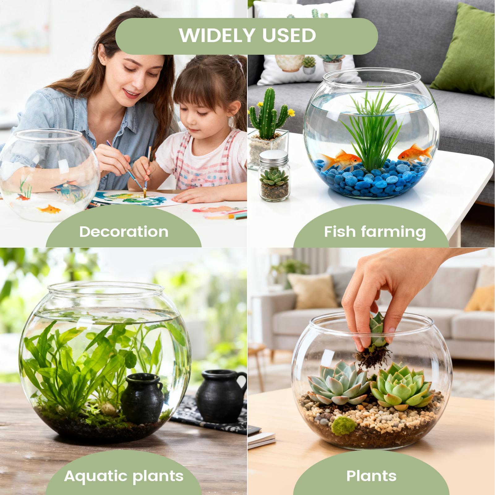 Fish Bowl  Bubble Bowl Shatter - Aquarium Fish In Bowl 评论和价格