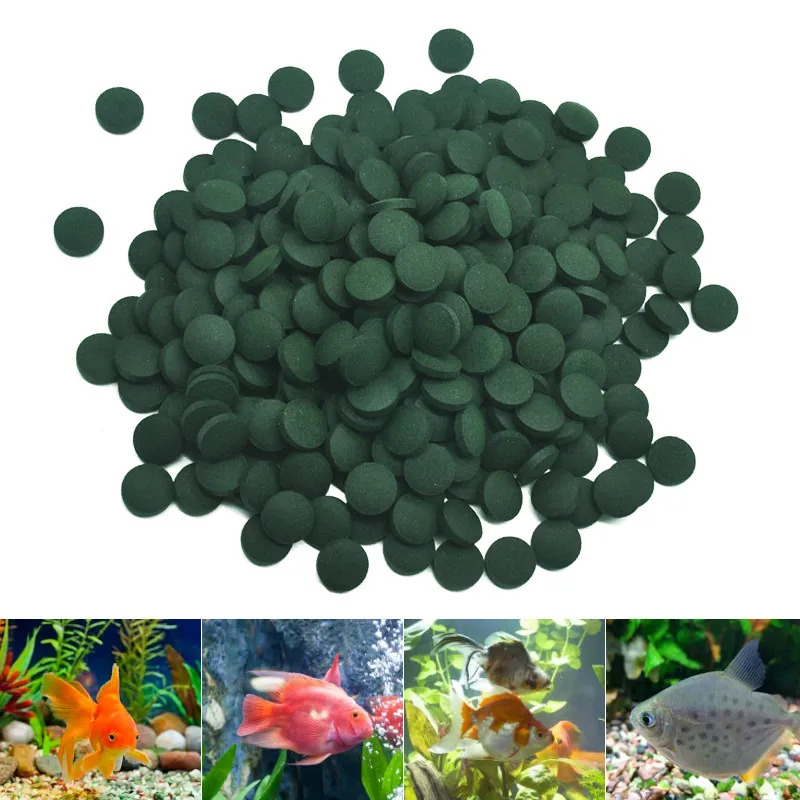 50-300Pcs High Purity Spirulin - Aquarium Fish Eggs 评论和价格