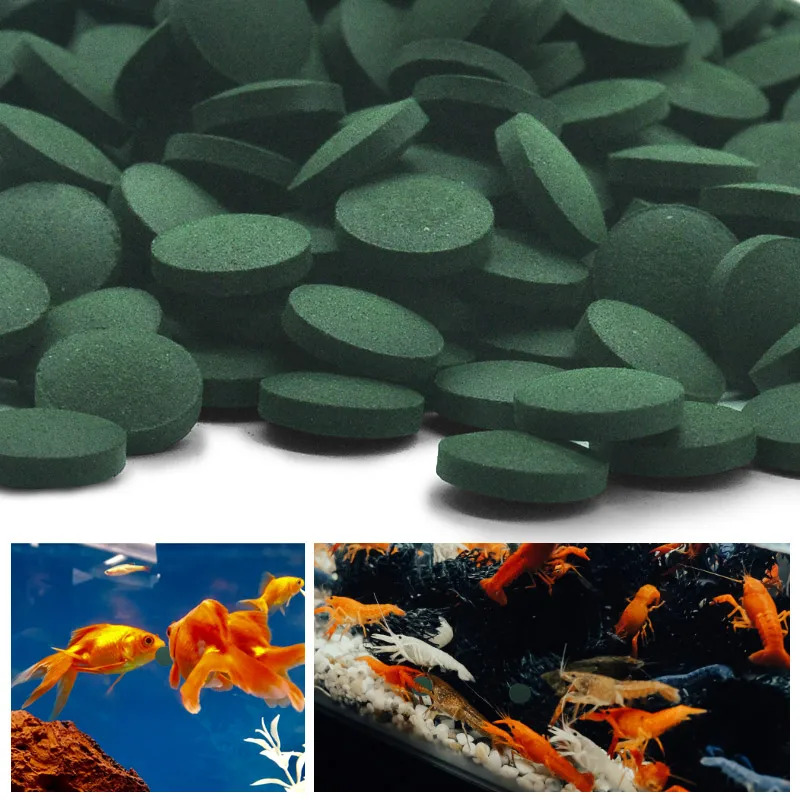 50-300Pcs High Purity Spirulin - Aquarium Fish Eggs 评论和价格