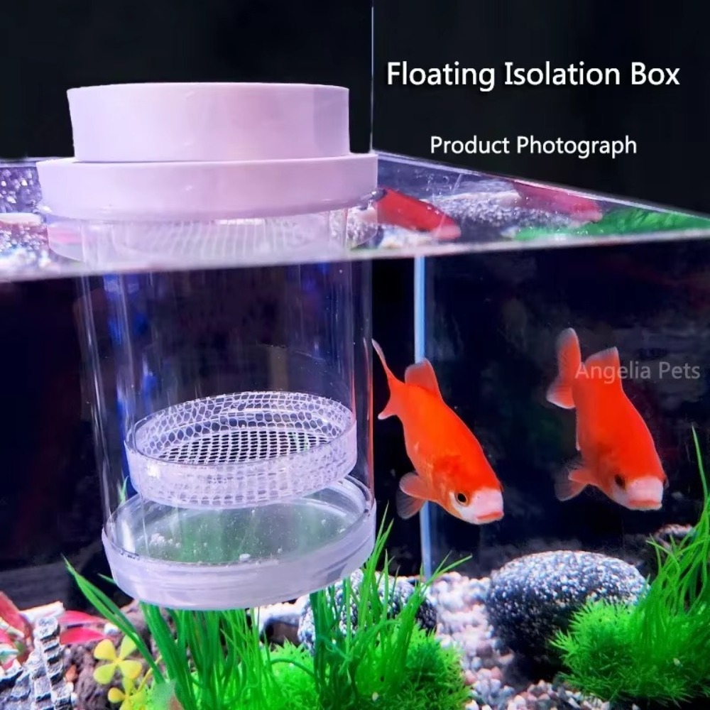 Plastic Floating Fish Breeding - Aquarium Fish Auto Feeder 评论和价格