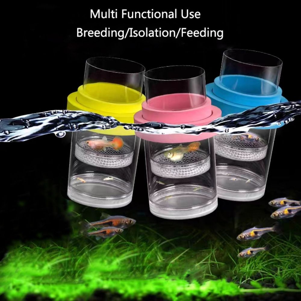 Plastic Floating Fish Breeding - Aquarium Fish Auto Feeder 评论和价格