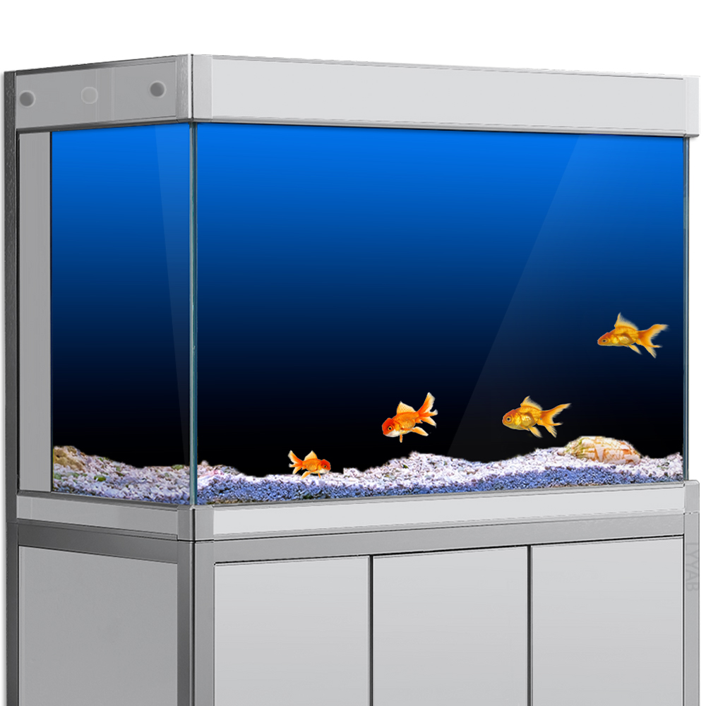 Fish Tank Background Sticker B - Aquarium Fish Black 评论和价格