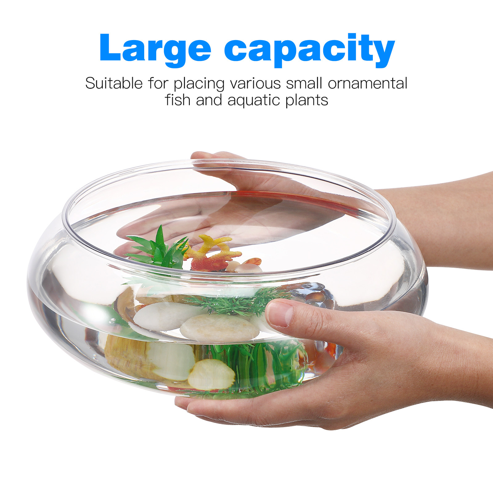 Transparent Aquarium Tank 2800 - Aquarium Fish In Bowl 评论和价格