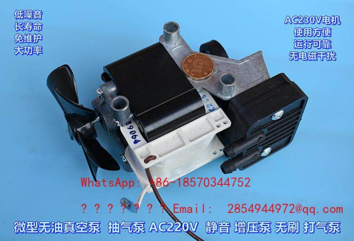 AC220V 100W Oil-free Silent Va - Air Pump Silent 评论和价格