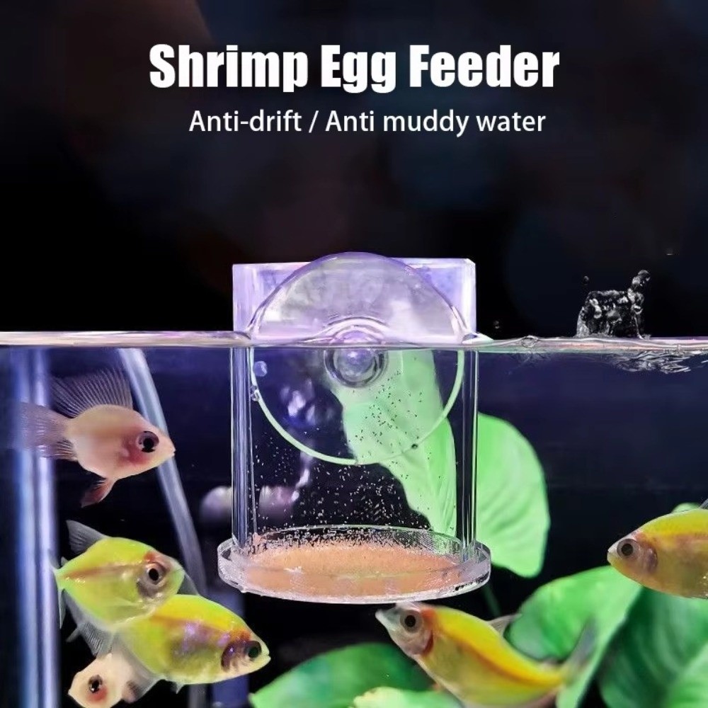 Acrylic Brine Shrimp Feeder Fi - Aquarium Fish Eggs 评论和价格
