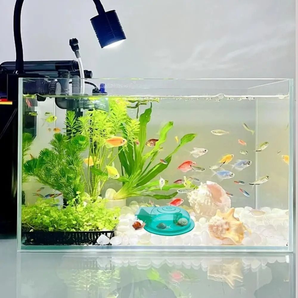 Freshwater Saltwater Aquarium  - Aquarium Fish Trap 评论和价格