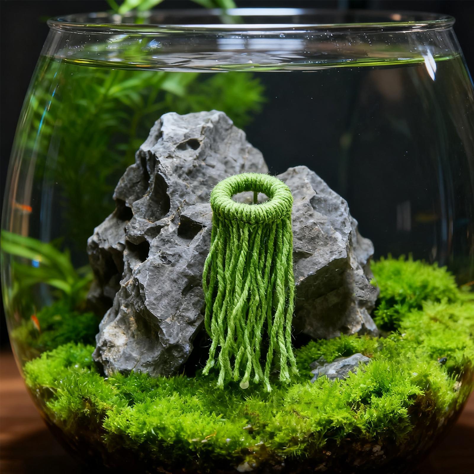 Aquatic Plant Spawning Mop Flo - Aquarium Fish Eggs 评论和价格