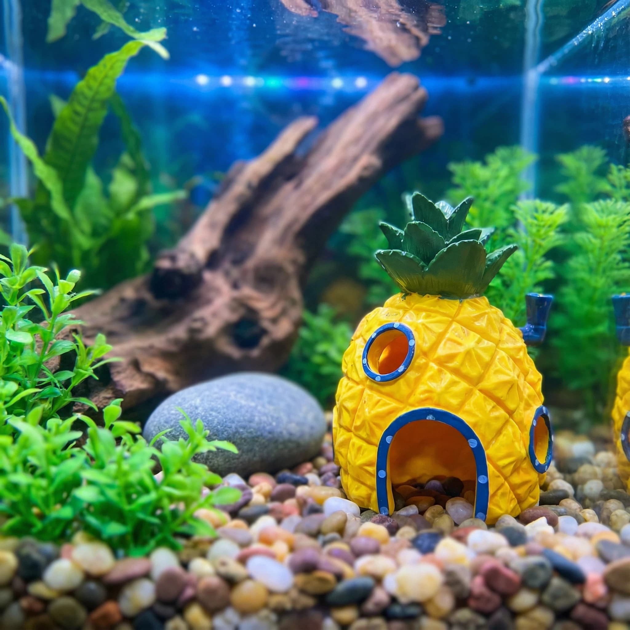 Pineapple House Aquarium Decor - Aquarium Fish Hide 评论和价格