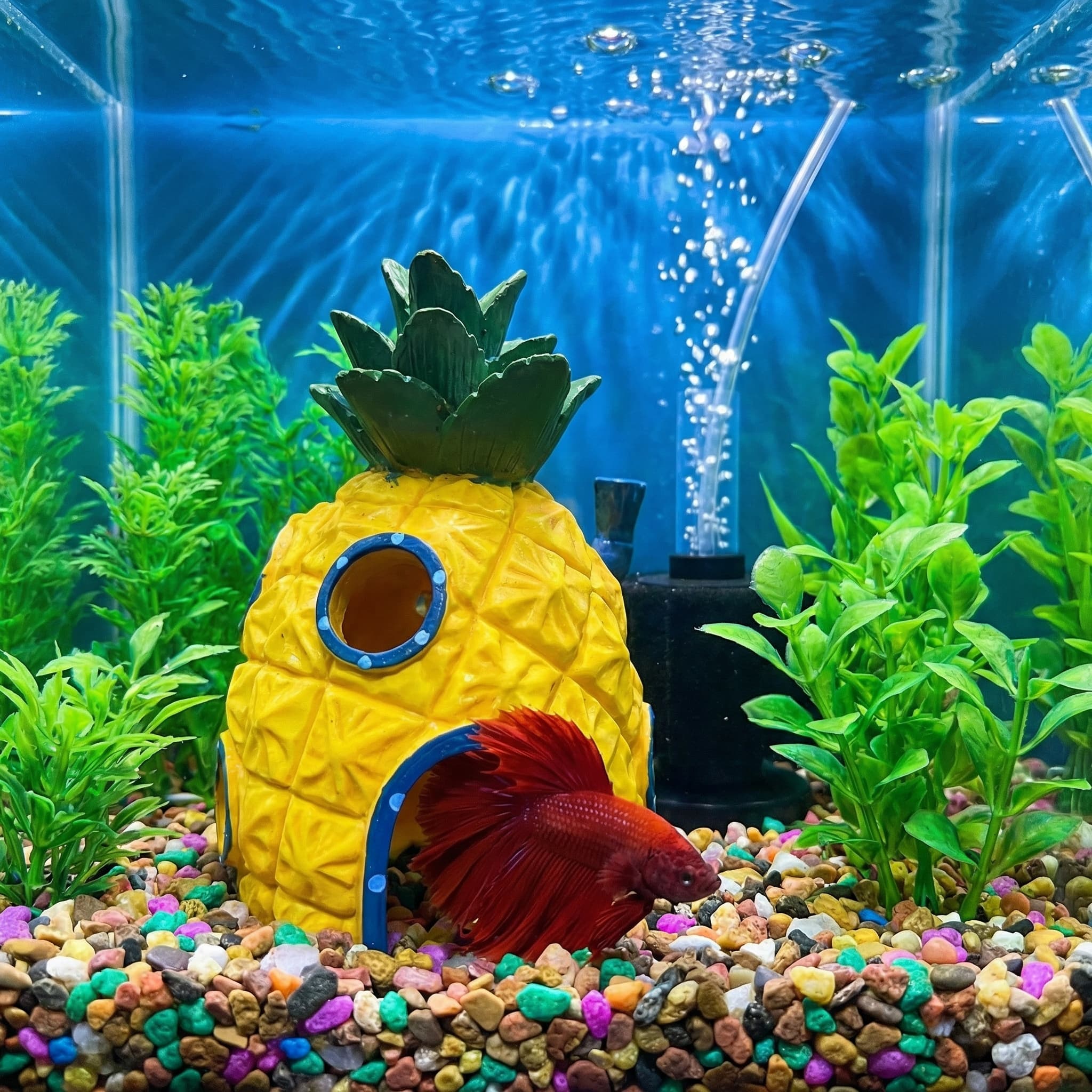 Pineapple House Aquarium Decor - Aquarium Fish Hide 评论和价格