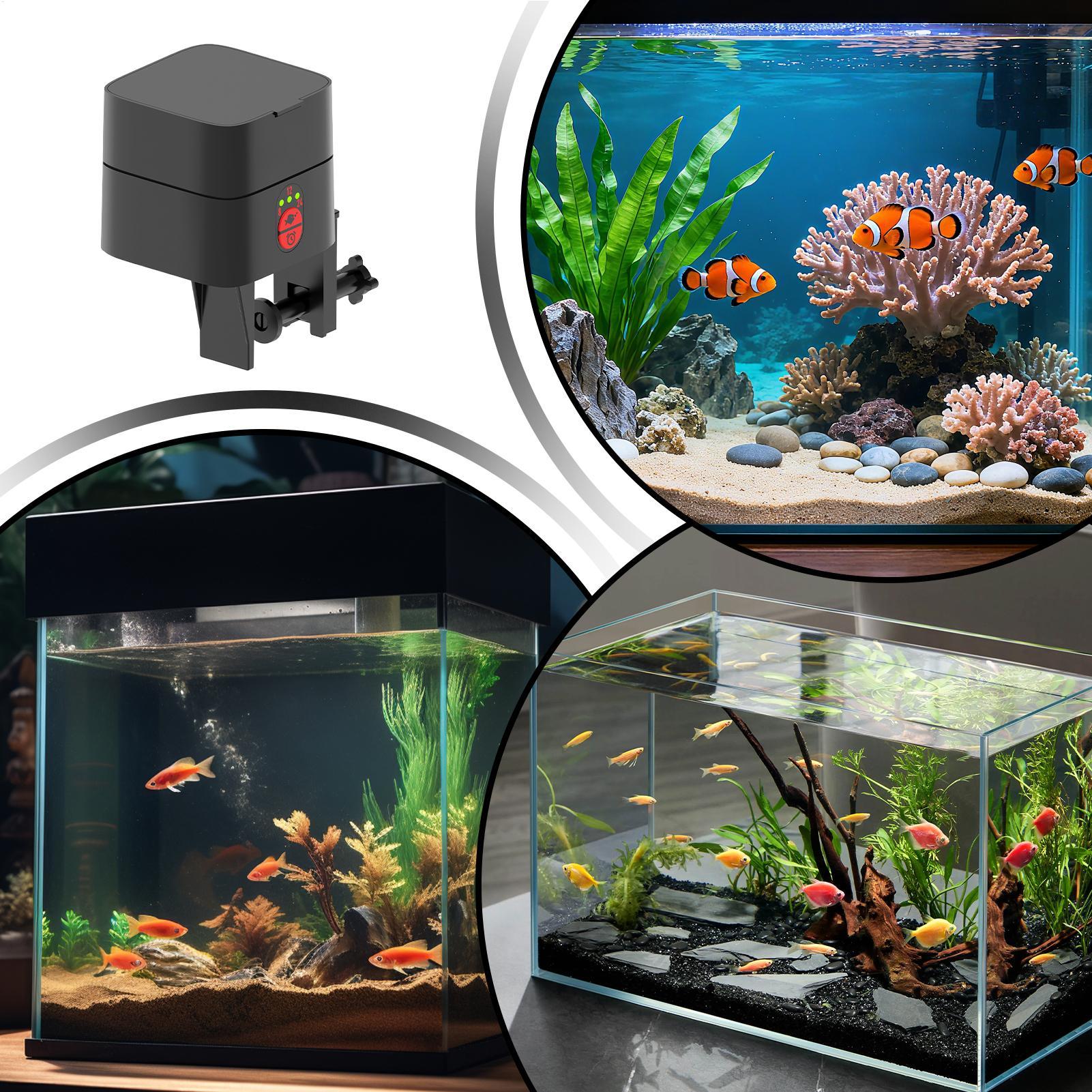 Auto Fish Feeder For Aquarium  - Aquarium Fish In Bowl 评论和价格