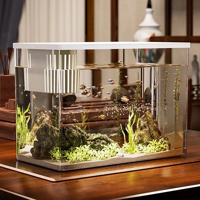 PET+ABS Fish Tank New Transpar - Aquarium Fish In Bowl 评论和价格