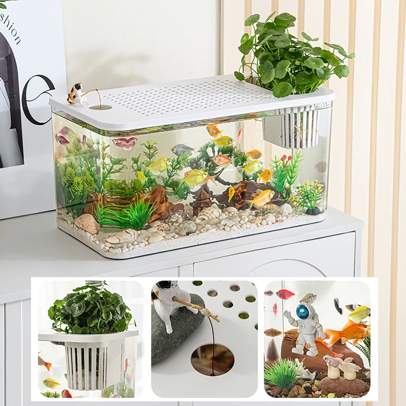 PET+ABS Fish Tank New Transpar - Aquarium Fish In Bowl 评论和价格